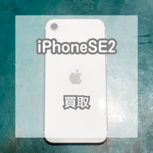 ホワイトのiPhoneSE2を買い取らせていただきました！【モバトルイオンモール松本店】