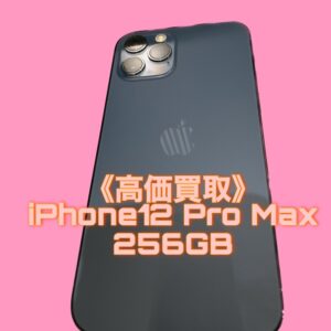 iPhone12ProMax