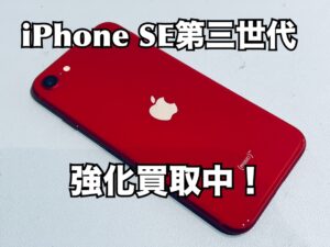 中古のiPhoneSE第三世代（アイフォンSE3）の買取をしました！iPhone16（アイフォン16）シリーズも強化買取中！買取ならモバトル水戸オーパ店へ！