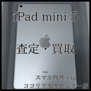 iPad mini5（アイパッド）外装評価：B　査定だけも対応します！！【モバトルココリア多摩センター店】