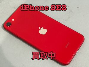 中古のiPhoneSE第2世代を買い取りました！iPhoneSE第2世代（アイフォンSE2）高く売るならモバトル水戸オーパ店へ！