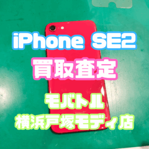 iPhoneSE2（アイフォン）Bランク買取いたしました！【モバトル横浜戸塚モディ店】