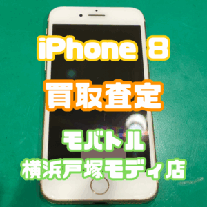 iPhone 8（アイフォン）Cランク買取いたしました！【モバトル横浜戸塚モディ店】