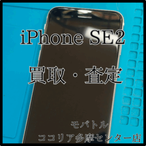 iPhone SE2（アイフォン）ホワイトを査定しました！【モバトルココリア多摩センター店】