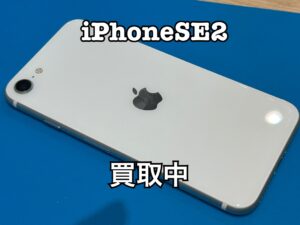 中古のiPhoneSE2(アイフォンSE2)を買取りました!iPhone16(アイフォン16)も強化買取中!買取ならモバトル水戸オーパ店です!
