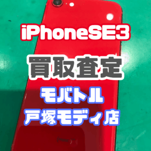 【iPhone17シリーズ発売！今ならAirPodsやイヤホンの買取も強化中🎧📱】iPhone SE3(アイフォン)Bランク買取いたしました!【モバトル横浜戸塚モディ店】