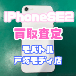 【新機種iPhone17シリーズ高価買取！】Apple iPhone SE（第2世代／64GB／ホワイト）Cランクを買取査定しました！📱✨【モバトル横浜戸塚モディ店】