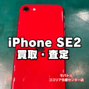 iPhone SE(第2世代)64GBも買取しました!【モバトルココリア多摩センター店】