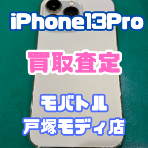 【iPhone17シリーズ買取中!今ならAirPodsやイヤホンの買取も強化中🎧📱】iPhone 13 Pro/256GB/ゴールド Cランク買取いたしました!【モバトル横浜戸塚モディ店】